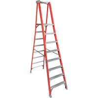 Industrial Heavy-Duty Pro Platform Stepladders (FXP1700 Series), 8', 300 lbs. Cap. Les Distributions ICE