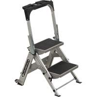 &eacute;chelle escabeau avec roues pivotantes, 2 marches, 23" x 21" x Hauteur 34,50" Les Distributions ICE