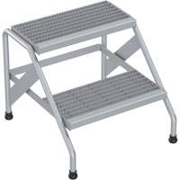 Escabeau en aluminium, 2 marche(s), 22-13/16" la x 24-9/16" lo x 20" h, Capacit&eacute; 500 lb Les Distributions ICE