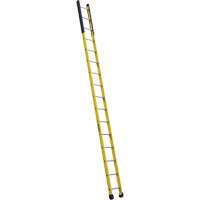 Single Manhole Ladder, 16', Fibreglass, 375 lbs., CSA Grade 1AA Les Distributions ICE