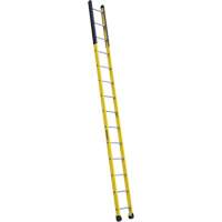 Single Manhole Ladder, 14', Fibreglass, 375 lbs., CSA Grade 1AA Les Distributions ICE
