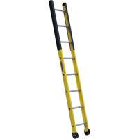 Single Manhole Ladder, 8', Fibreglass, 375 lbs., CSA Grade 1AA Les Distributions ICE