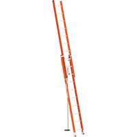 BuildMan&reg; Extension Ladder, 300 lbs. Cap., 20' H, Grade 1A Les Distributions ICE
