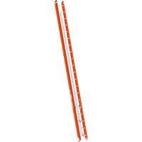 BuildMan&reg; Extension Ladder, 300 lbs. Cap., 40' H, Grade 1A Les Distributions ICE