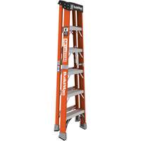 Step Ladder, 6', Fibreglass, 375 lbs. Capacity, Type 1AA Les Distributions ICE