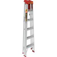 Step Ladder with Paint Tray, 6', Aluminum, 200 lbs. Capacity, Type 3 Les Distributions ICE