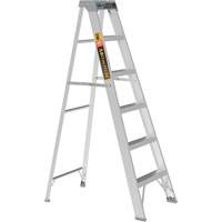 Step Ladder, 6', Aluminum, 225 lbs. Capacity, Type 2 Les Distributions ICE