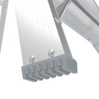 Step Ladder with Paint Tray, 10', Aluminum, 225 lbs. Capacity, Type 2 Les Distributions ICE