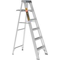 Step Ladder with Paint Tray, 6', Aluminum, 225 lbs. Capacity, Type 2 Les Distributions ICE