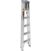 Step Ladder with Paint Tray, 6', Aluminum, 225 lbs. Capacity, Type 2 Les Distributions ICE