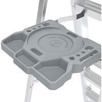 Step Ladder with Paint Tray, 10', Aluminum, 225 lbs. Capacity, Type 2 Les Distributions ICE