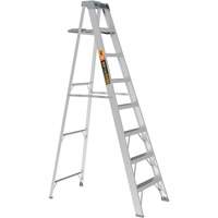 Step Ladder with Paint Tray, 8', Aluminum, 225 lbs. Capacity, Type 2 Les Distributions ICE