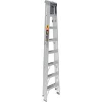 Step Ladder with Paint Tray, 8', Aluminum, 225 lbs. Capacity, Type 2 Les Distributions ICE