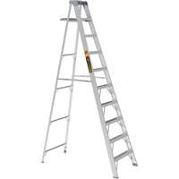 Step Ladder with Paint Tray, 10', Aluminum, 225 lbs. Capacity, Type 2 Les Distributions ICE