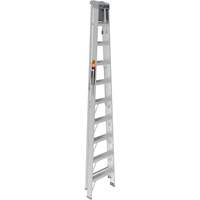 Step Ladder with Paint Tray, 10', Aluminum, 225 lbs. Capacity, Type 2 Les Distributions ICE