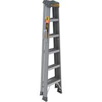 Step Ladder, 6', Fibreglass, 225 lbs. Capacity, Type 2 Les Distributions ICE