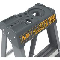 Step Ladder with Paint Tray, 6', Fibreglass, 225 lbs. Capacity, Type 2 Les Distributions ICE