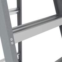 Step Ladder with Paint Tray, 6', Fibreglass, 225 lbs. Capacity, Type 2 Les Distributions ICE