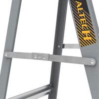 Step Ladder with Paint Tray, 6', Fibreglass, 225 lbs. Capacity, Type 2 Les Distributions ICE