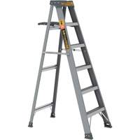 Step Ladder with Paint Tray, 6', Fibreglass, 225 lbs. Capacity, Type 2 Les Distributions ICE