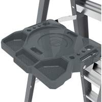 Step Ladder with Paint Tray, 6', Fibreglass, 225 lbs. Capacity, Type 2 Les Distributions ICE