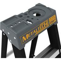 Step Ladder with Paint Tray, 10', Fibreglass, 250 lbs. Capacity, Type 1 Les Distributions ICE
