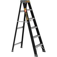 Step Ladder, 6', Fibreglass, 250 lbs. Capacity, Type 1 Les Distributions ICE