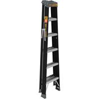 Step Ladder, 6', Fibreglass, 250 lbs. Capacity, Type 1 Les Distributions ICE