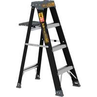 Step Ladder with Paint Tray, 4', Fibreglass, 250 lbs. Capacity, Type 1 Les Distributions ICE