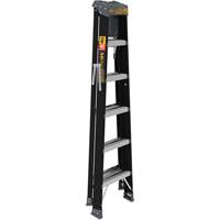 Step Ladder with Paint Tray, 6', Fibreglass, 250 lbs. Capacity, Type 1 Les Distributions ICE