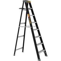 Step Ladder with Paint Tray, 8', Fibreglass, 250 lbs. Capacity, Type 1 Les Distributions ICE