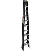 Step Ladder with Paint Tray, 10', Fibreglass, 250 lbs. Capacity, Type 1 Les Distributions ICE