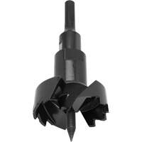 Foret autoaliment&eacute;, 3" Les Distributions ICE