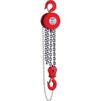 Chain Hoist, 8' Lift, 11023 lbs. (5 tons) Capacity Les Distributions ICE