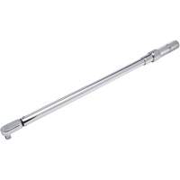 Cl&eacute; dynamom&eacute;trique microm&eacute;trique &agrave; t&ecirc;te fixe, &agrave; cliquer, Entraînement 1/2" carr&eacute;, 50-250 lb-pi Les Distributions ICE