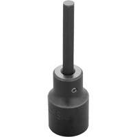 Embout &agrave; ins&eacute;rer, Hexagonale, 6 mm x 3-1/4" lo, Prise 1/2" Les Distributions ICE