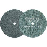 QUICK-STEP BLENDEX Surface Conditioning Disc, 5" Dia., Fine Grit, Aluminum Oxide Les Distributions ICE