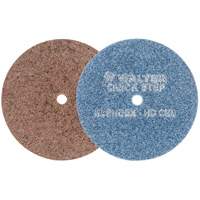 QUICK-STEP BLENDEX Surface Conditioning Disc, 5" Dia., Extra Coarse Grit, Aluminum Oxide Les Distributions ICE