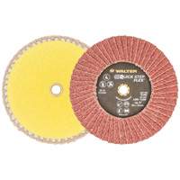 QUICK-STEP FLEX, 5" x Type 29, 40 Grit, Aluminum Oxide Les Distributions ICE