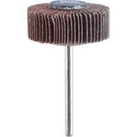 3/8" Flapwheel Sanding Bit - 120 Grit Les Distributions ICE