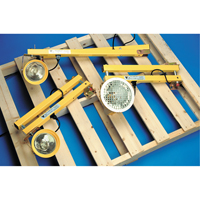 Dock Lights, 60" Arm, Incandescent Lamp, Metal Les Distributions ICE