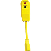 Ensemble de cordon & de prise, 120 V, 15 A, Cordon de 9' Les Distributions ICE