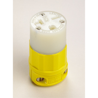 2-Pole 3-Wire Grounding Straight Blade Connector, 5-20P, Nylon Les Distributions ICE