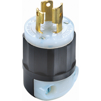 Dispositif verrouillable de qualit&eacute; industrielle, Nylon, 15 A, 125 V, L5-15P Les Distributions ICE