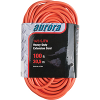 Cordon rallonge en vinyle, Ext&eacute;rieur, SJTW, AWG 14/3, 13 A, 100' Les Distributions ICE