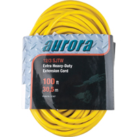 Vinyl Extension Cord, Outdoor, SJTW, 12/3 AWG, 15 A, 100' Les Distributions ICE