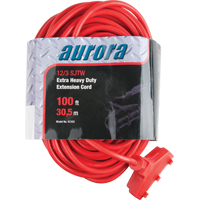 Cordon rallonge en vinyle, Ext&eacute;rieur, SJTW, AWG 12/3, 15 A, 3 prise(s), 100' Les Distributions ICE