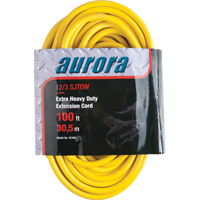 Cordon rallonge en vinyle avec indicateur lumineux, Ext&eacute;rieur, SJTOW, AWG 12/3, 15 A, 3 prise(s), 100' Les Distributions ICE