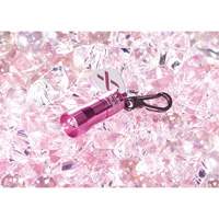 Lampes de poche Nano Light Les Distributions ICE