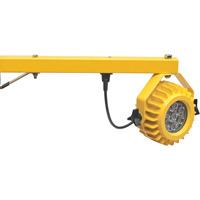 Heavy-Duty Loading Dock Lights, 24" Arm, 300 W, LED Lamp, Metal Les Distributions ICE